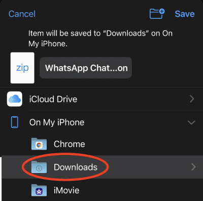 Save to Downloads Folder on your phone