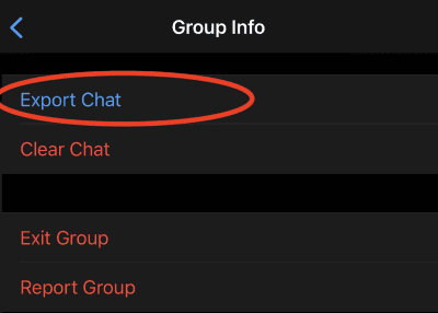 Find the link to 'Export Chat' at the bottom. Tap it.